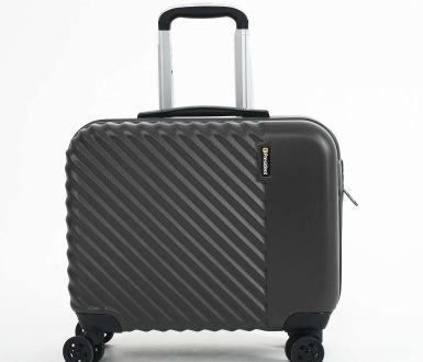Pilot Case Image